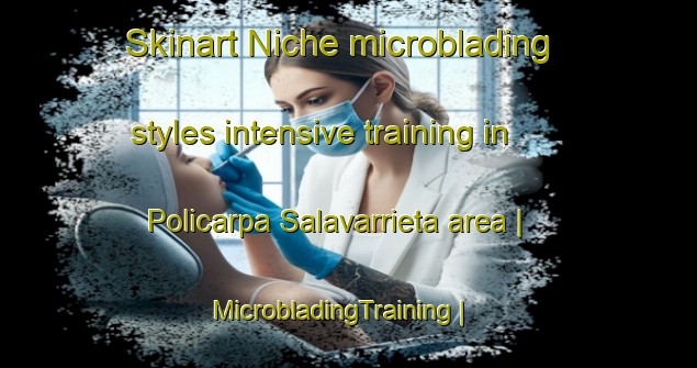 Skinart Niche microblading styles intensive training in Policarpa Salavarrieta area | MicrobladingTraining | MicrobladingClasses | SkinartTraining-Colombia